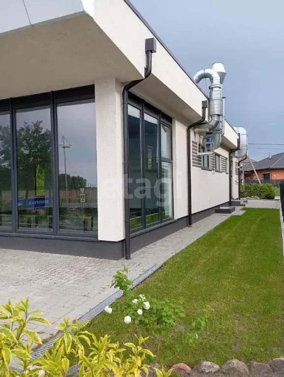 Помещение свободного назначения в Калининградская область, Светлогорск ... - Фото 1