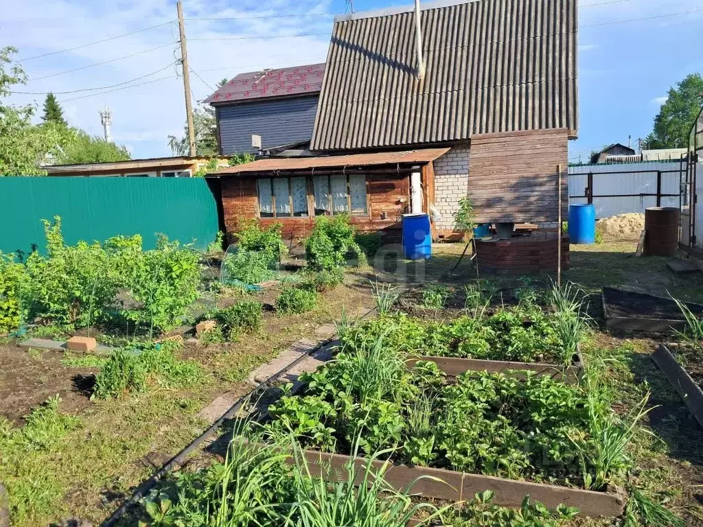 Дом в Тюменская область, Тюмень Салют СНТ, ул. Цветочная (49 м) - Фото 2