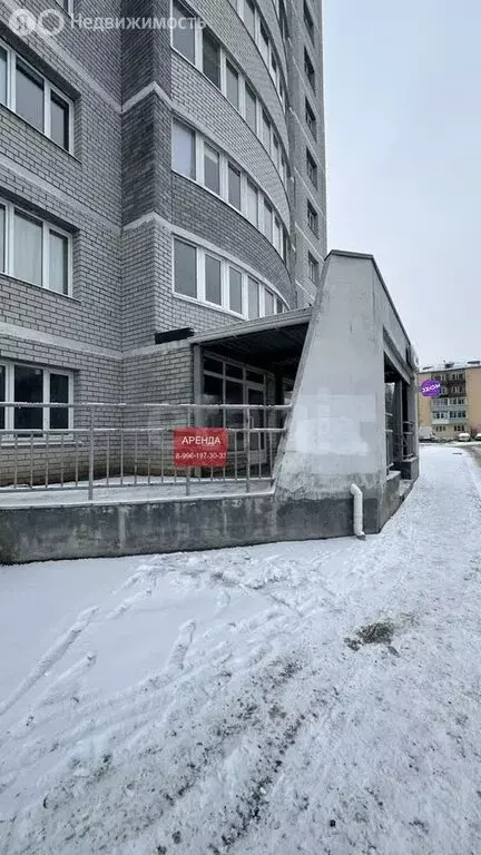 Помещение свободного назначения (50 м) - Фото 2