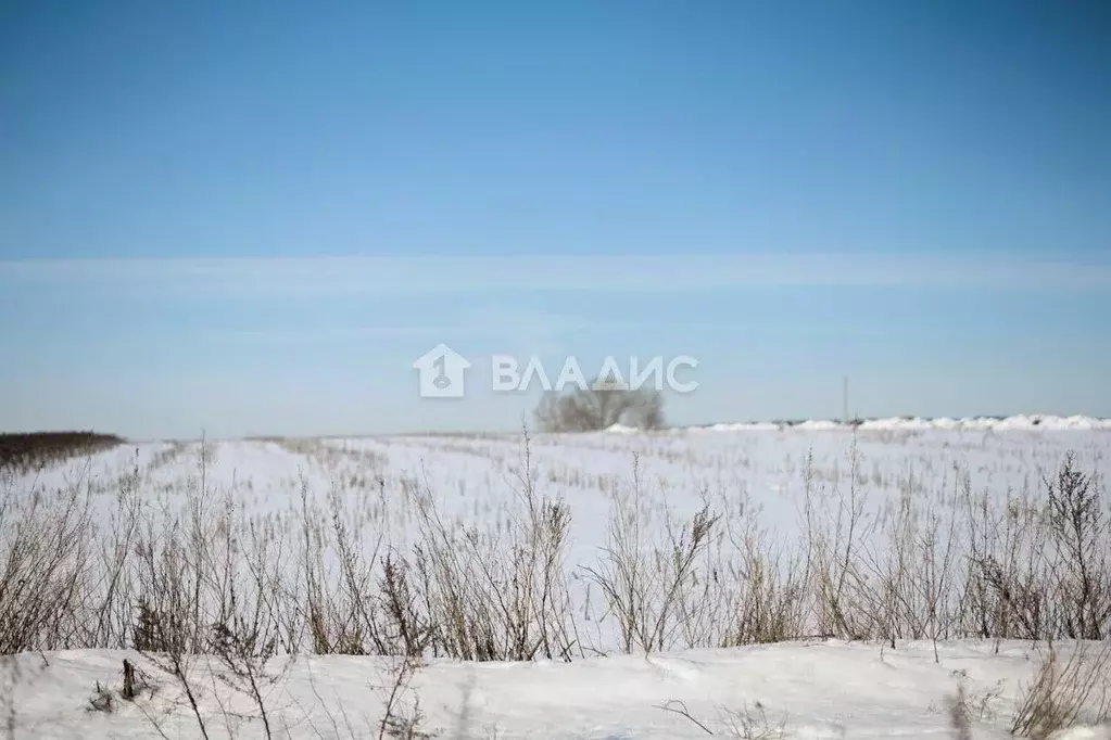 Участок в Пензенская область, с. Бессоновка ул. Совхозная (10.0 сот.) - Фото 0