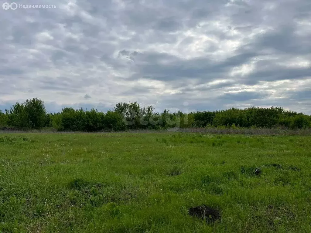 Участок в Свердловская область, посёлок городского типа Тугулым (8.5 ... - Фото 1