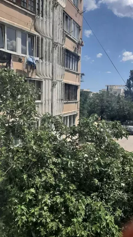 1-к кв. Крым, Ялта ул. Изобильная, 26 (31.0 м) - Фото 0