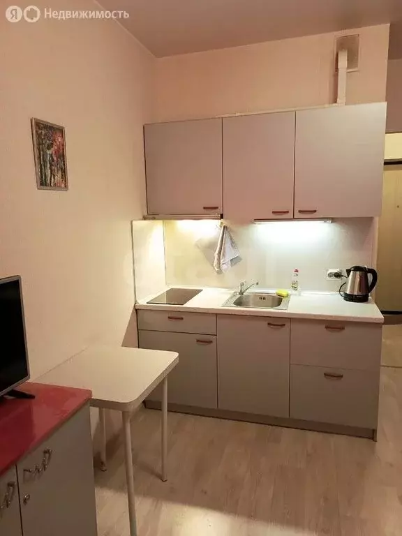 Квартира-студия: Кудрово, Пражская улица, 15 (20.9 м) - Фото 2
