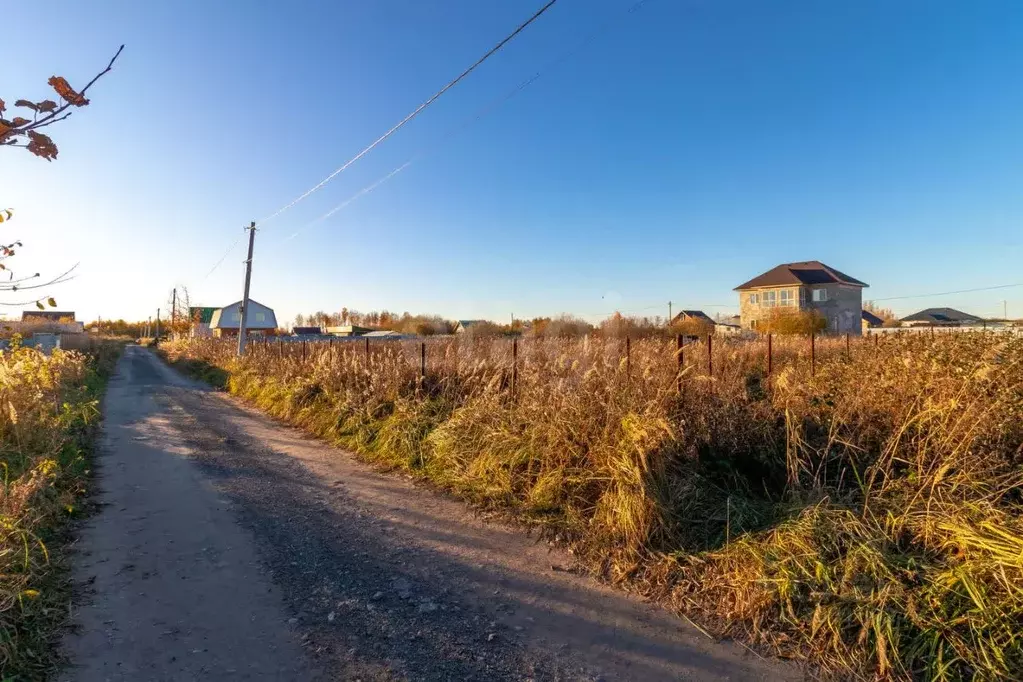 Участок в Тюменская область, Тюмень Царево садовое товарищество, ул. ... - Фото 0