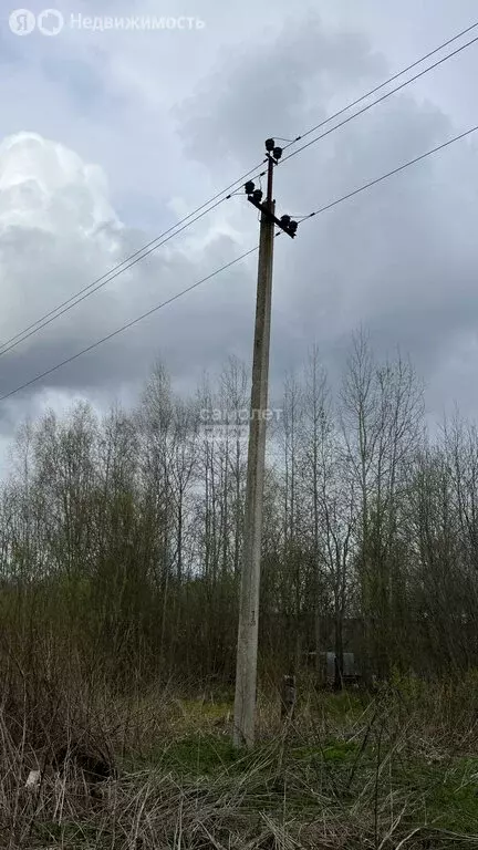 Участок в Череповецкий район, Судское сельское поселение, посёлок Суда ... - Фото 0