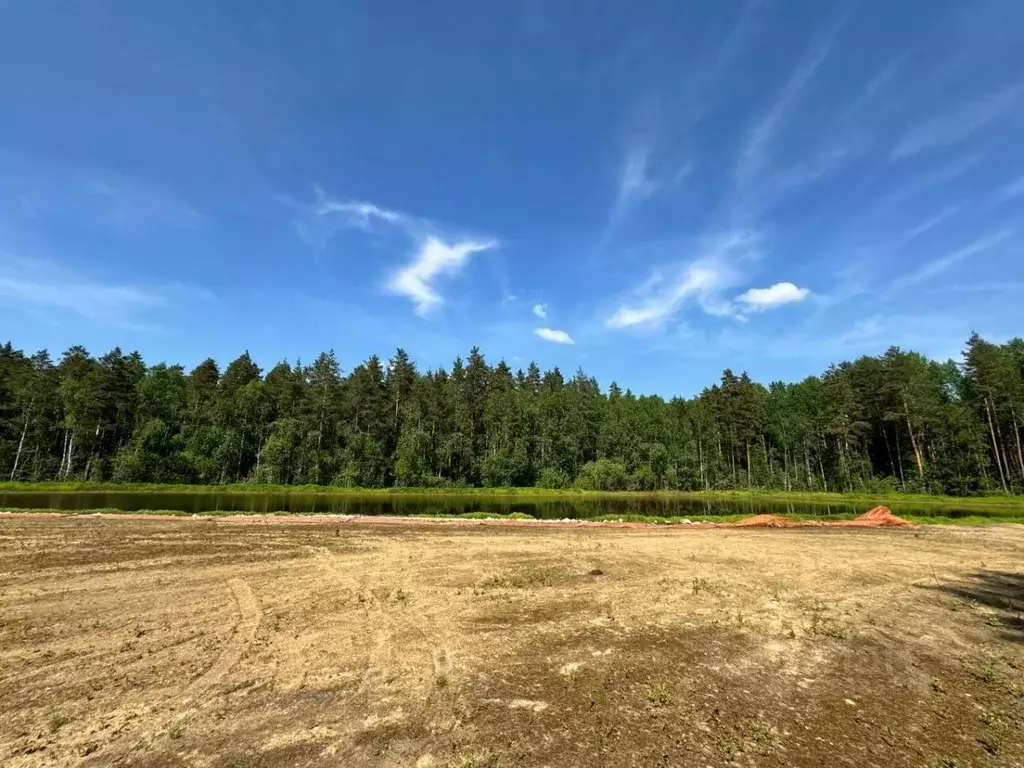 Участок в Ленинградская область, Выборгский район, Первомайское с/пос, ... - Фото 2
