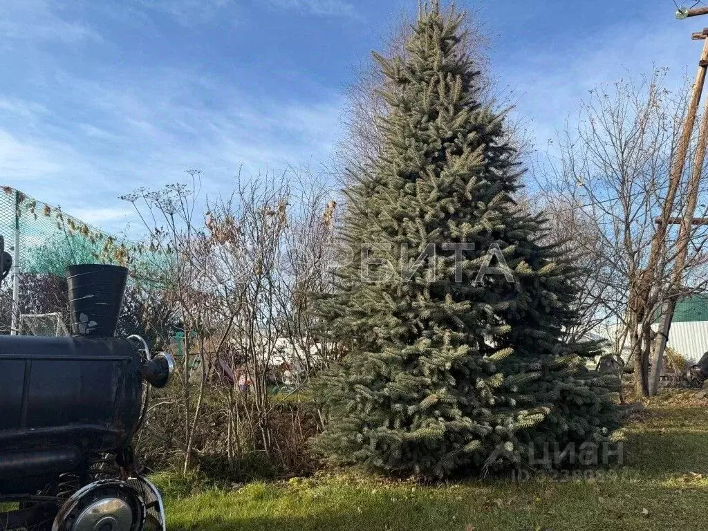 Участок в Тюменская область, Нижнетавдинский муниципальный округ, ... - Фото 1