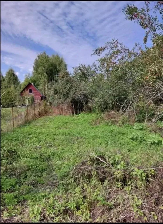 Участок в Тверская область, Конаковский муниципальный округ, д. ... - Фото 2