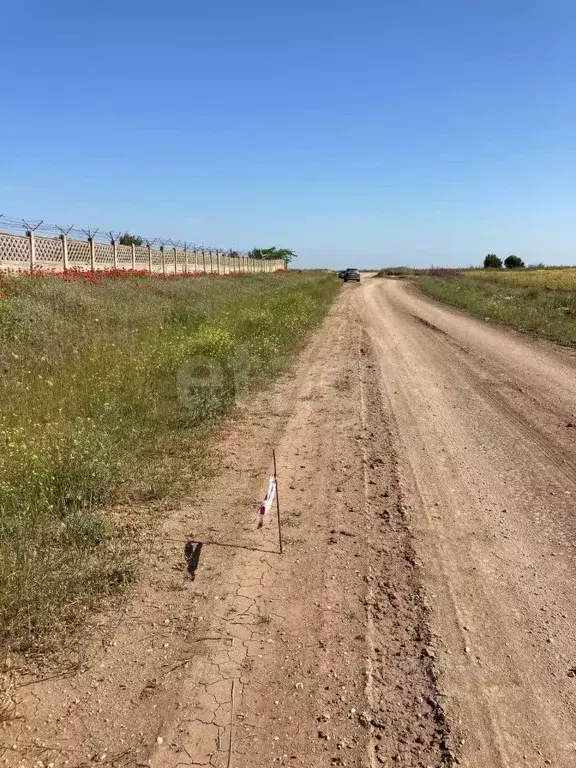 Участок в Крым, Сакский район, Молочненское с/пос, с. Витино  (1008.58 ... - Фото 0