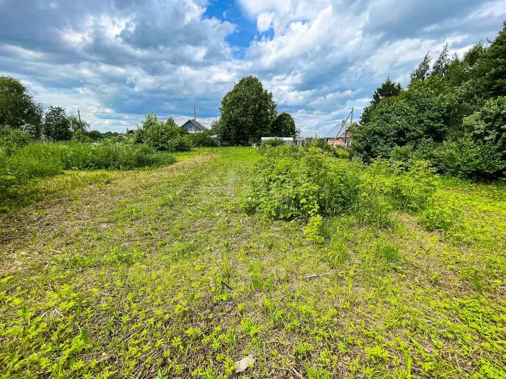 Участок в Вологодская область, пос. Ермаково, д. Прокунино  (6.2 сот.) - Фото 2