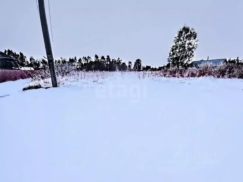 Участок в Смоленская область, Смоленский муниципальный округ, д. ... - Фото 2