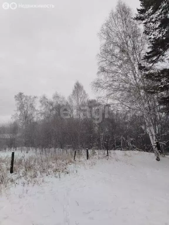 Участок в Читинский район, село Смоленка (10.1 м) - Фото 1