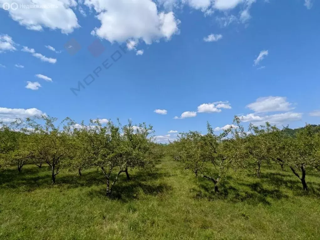 Участок в Нижегородское сельское поселение, хутор Красный Дагестан, ... - Фото 2