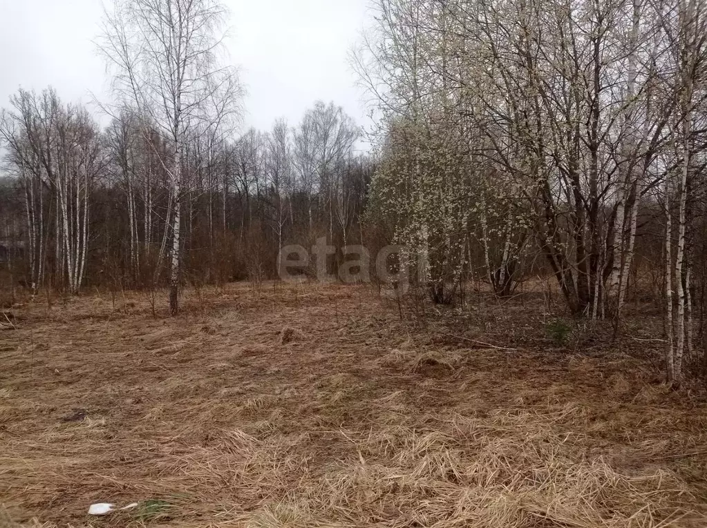 Участок в Калужская область, Боровский муниципальный округ, Лесные ... - Фото 1