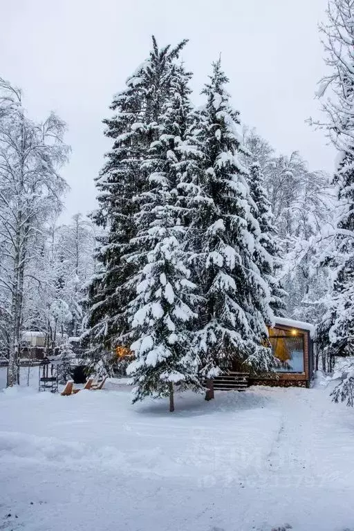 Дом в Ленинградская область, Всеволожский район, Куйвозовское с/пос, ... - Фото 2