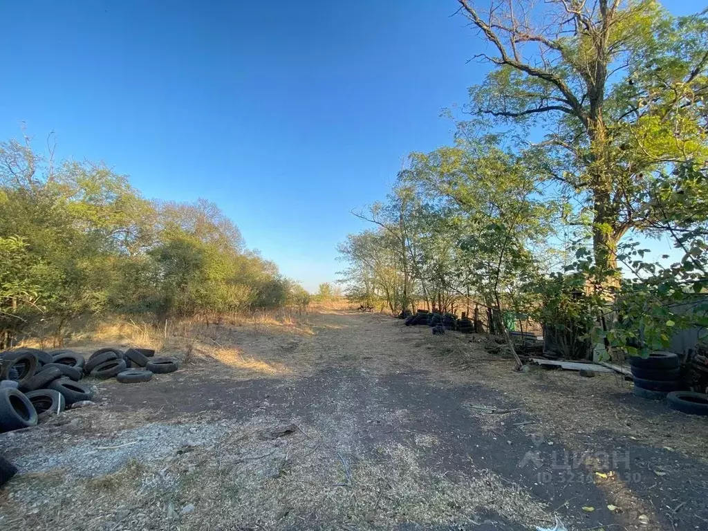 Участок в Ростовская область, Кагальницкий район, с. Новобатайск ... - Фото 0