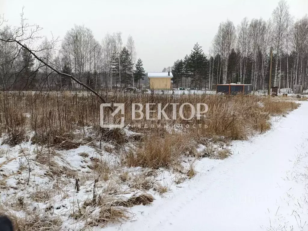 Участок в Ярославская область, Некрасовский муниципальный округ, Малые ... - Фото 1