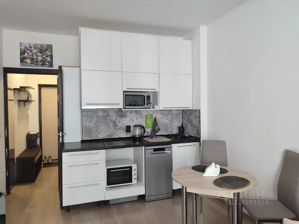 Студия Санкт-Петербург Союзный просп., 4 (23.4 м) - Фото 2