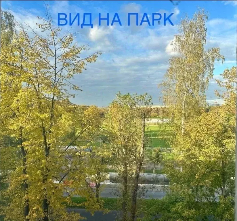 3-к кв. Санкт-Петербург Бассейная ул., 11 (58.0 м) - Фото 2