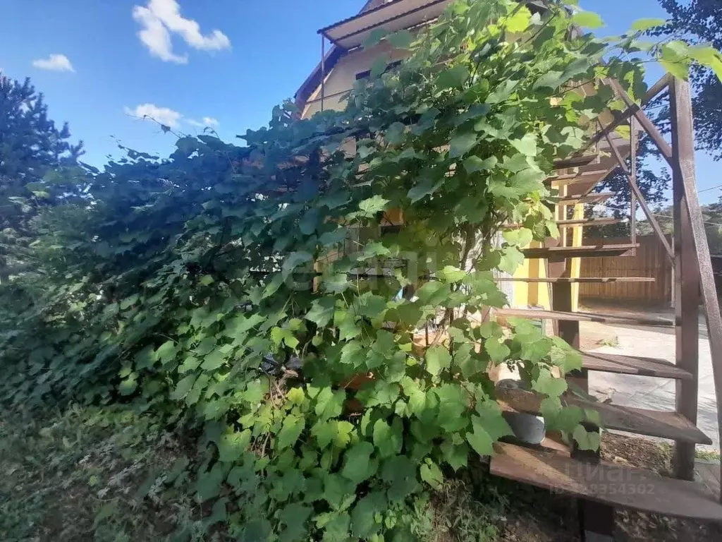 Дом в Оренбургская область, Оренбург Учитель СТ,  (36 м) - Фото 1