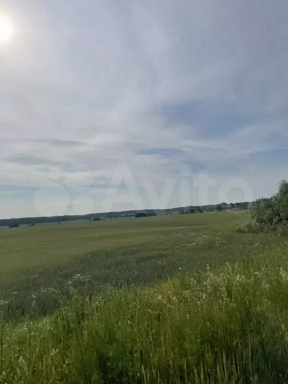 Участок 7,95 га (СНТ, ДНП) - Фото 0