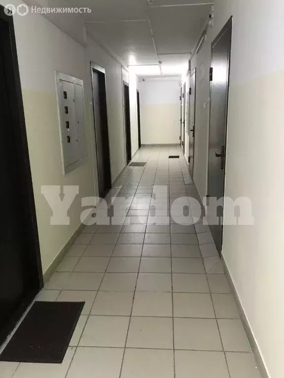1-комнатная квартира: Красноярск, Лесопарковая улица, 25 (18 м) - Фото 0