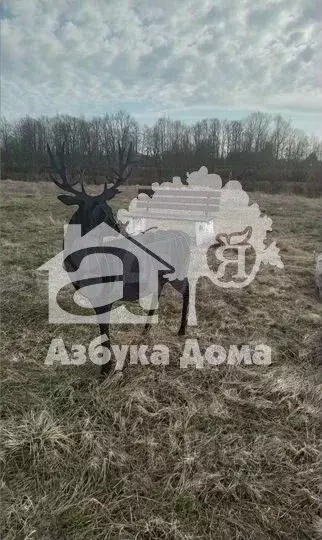Участок в Ленинградская область, Шлиссельбург Кировский район, ... - Фото 2