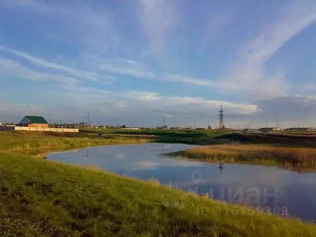 Участок в Омская область, Омский район, с. Дружино, Новое Дружино кп  ... - Фото 2