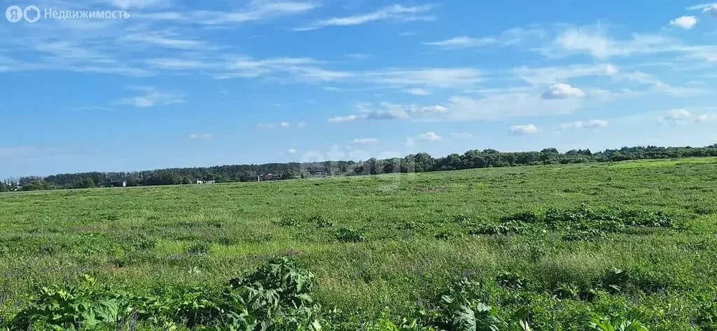 Участок в Тульская область, муниципальное образование Новомосковск, ... - Фото 0