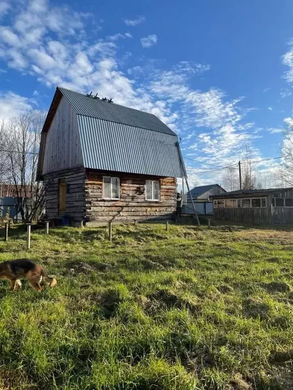 Участок в Ханты-Мансийский АО, Ханты-Мансийск Дружба СОТ,  (13.0 сот.) - Фото 0