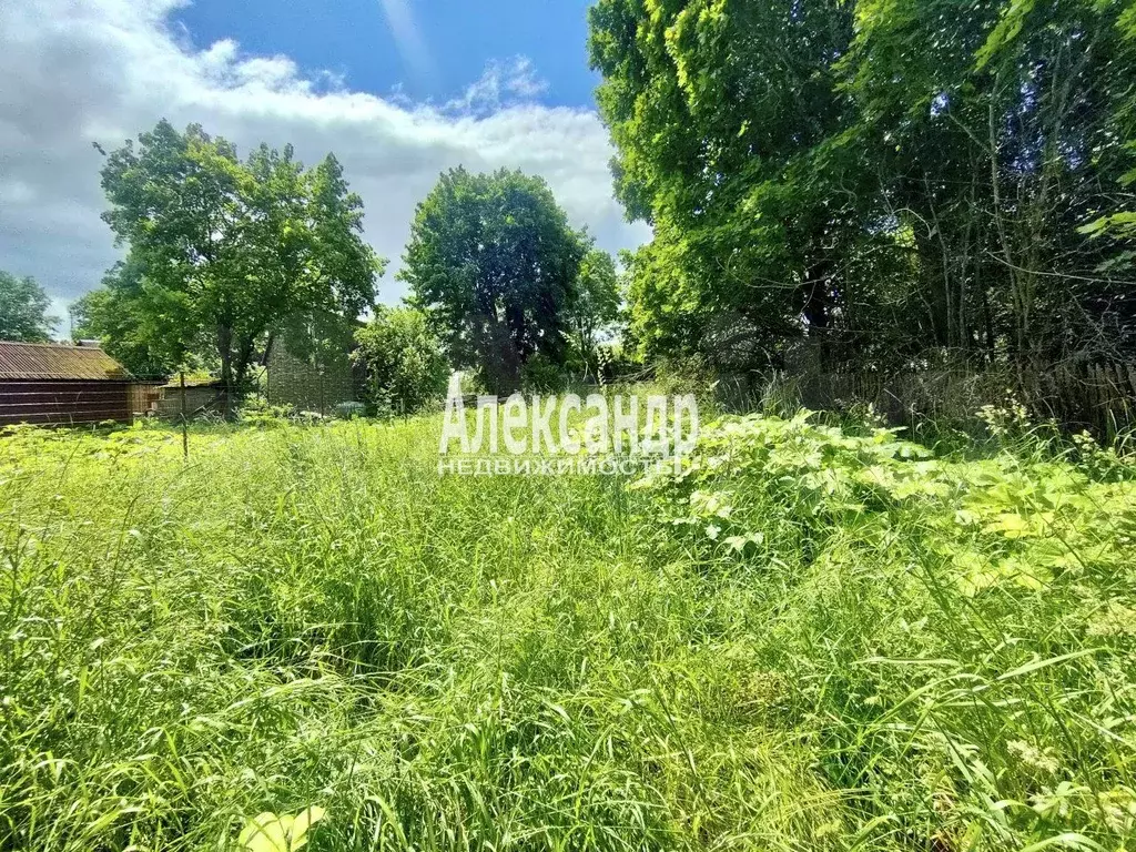 Дом 24,6 м на участке 30 сот. - Фото 1