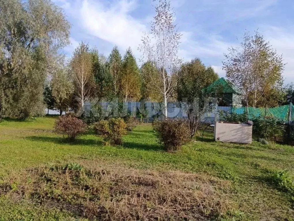 Участок в Новосибирская область, Колыванский район, Аква СНТ  (12.0 ... - Фото 1