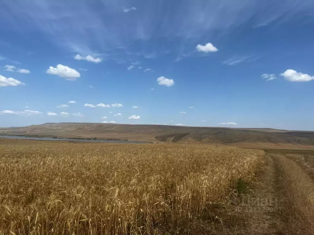 Участок в Ставропольский край, Андроповский муниципальный округ, пос. ... - Фото 1