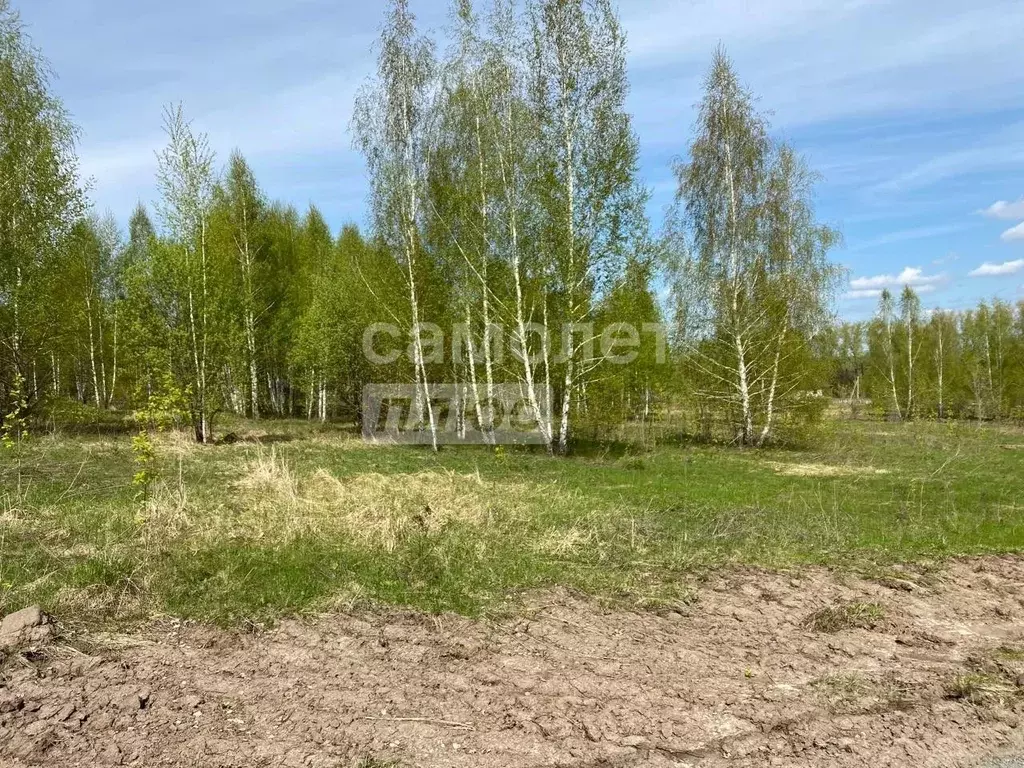 Участок в Рязанская область, Рязанский муниципальный округ, с. ... - Фото 1