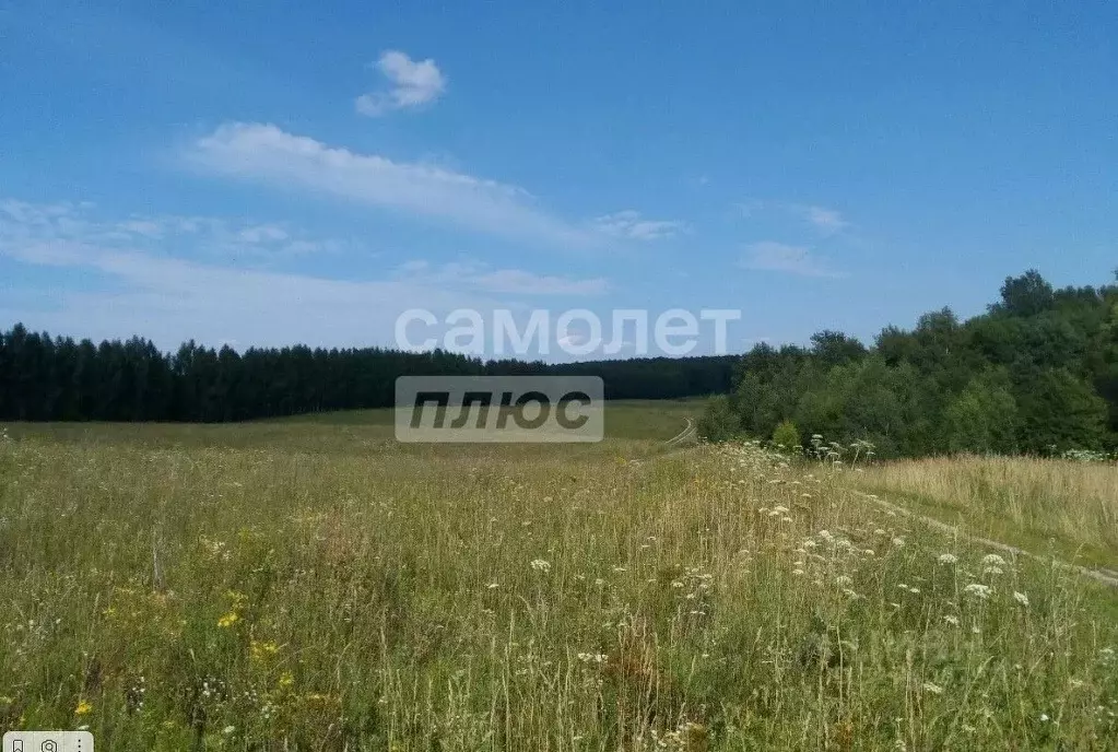 Участок в Нижегородская область, Богородский муниципальный округ, д. ... - Фото 0