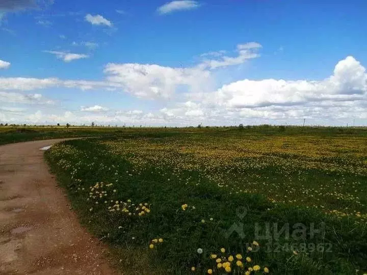 Участок в Новгородская область, Шимское городское поселение, д. Веряжа ... - Фото 1