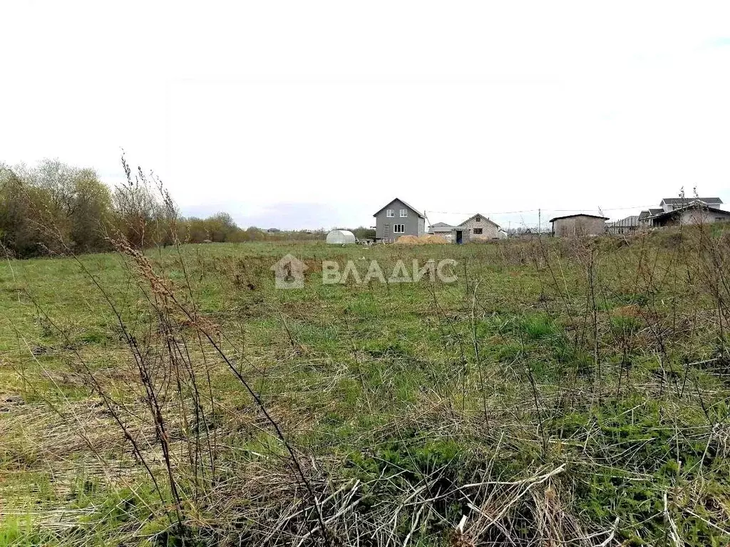 Участок в Ленинградская область, Гатчинский район, Тайцы городской ... - Фото 1