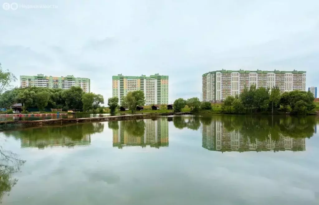 1-комнатная квартира: Домодедово, микрорайон Востряково, Донская ... - Фото 0