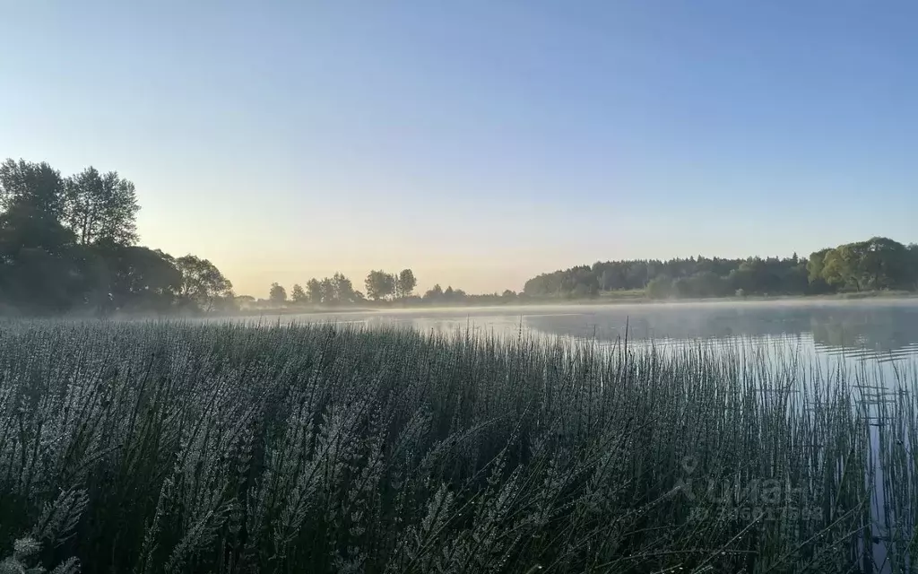 участок в московская область, наро-фоминский городской округ, д. . - Фото 0