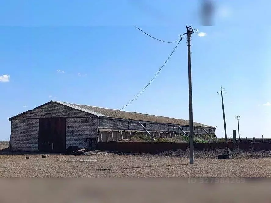 Склад в Волгоградская область, Среднеахтубинский район, ... - Фото 2