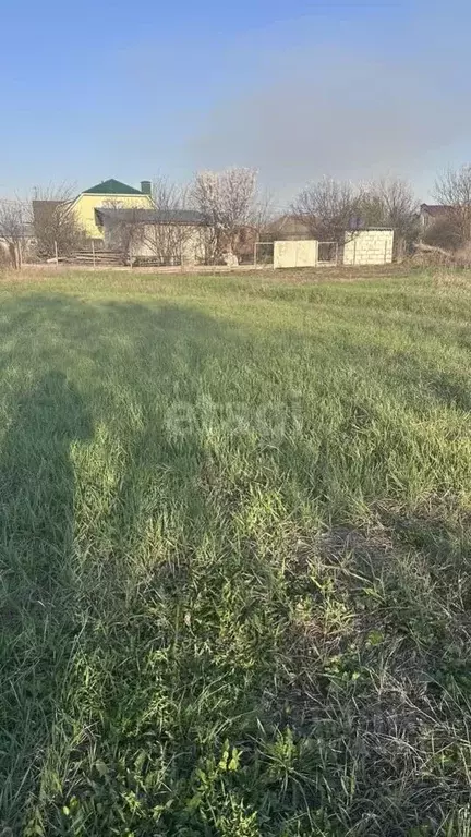 Участок в Воронежская область, с. Новая Усмань ул. Совхозная, 1 (12.0 ... - Фото 0