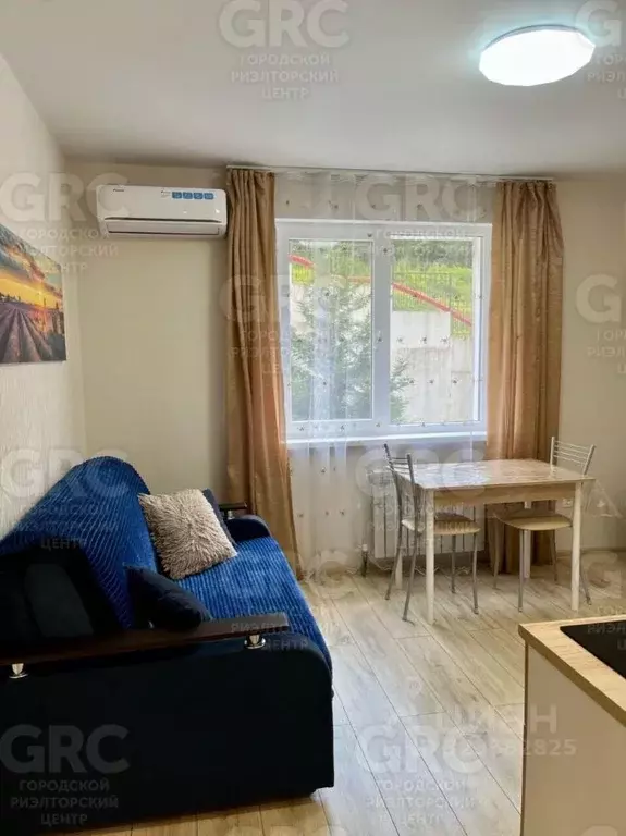 Студия Краснодарский край, Сочи городской округ, с. Раздольное ул. ... - Фото 2