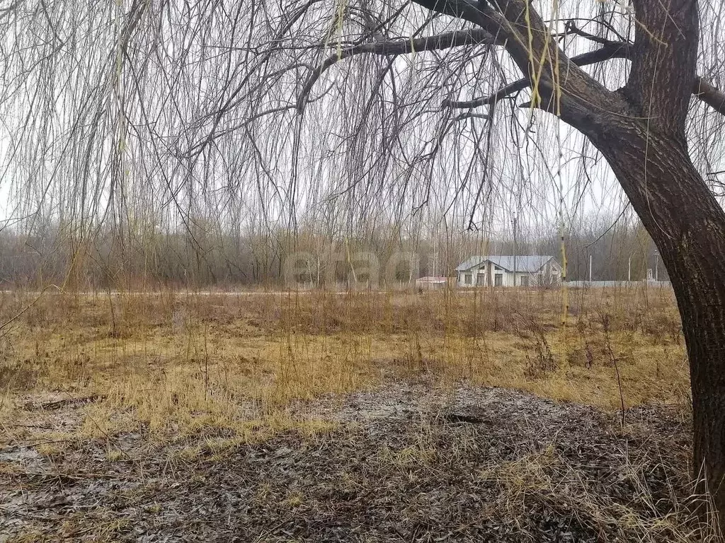 Участок в Белгородская область, Новый Оскол Новоселовская ул. (11.5 ... - Фото 2