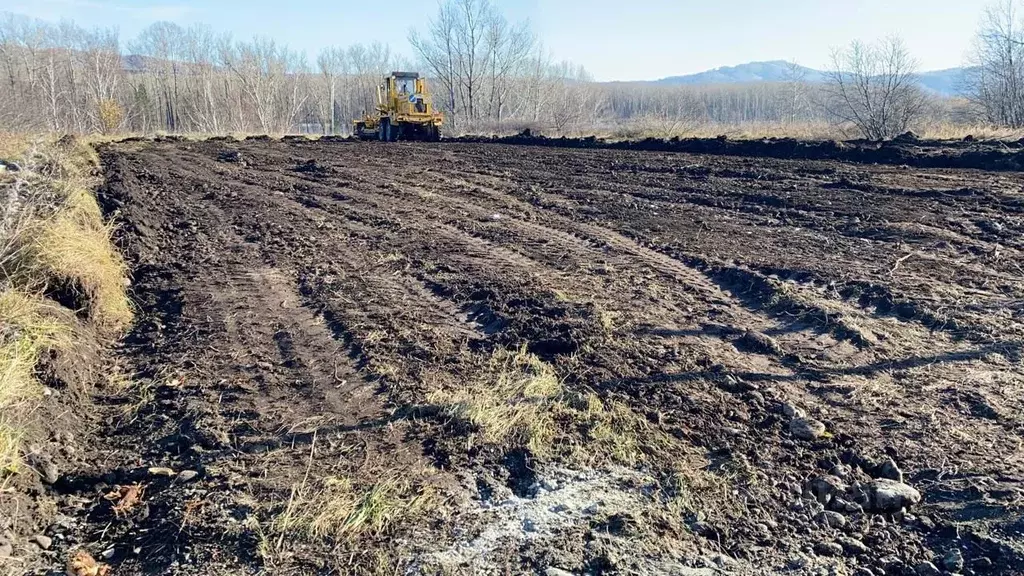 Участок в Алтай, Майминский район, с. Подгорное ул. Луговая, 3 (12.0 ... - Фото 1