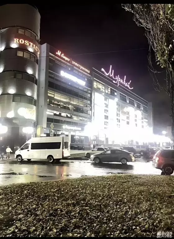 1-к кв. Нижегородская область, Нижний Новгород ул. Усиевича, 15А (20.0 ... - Фото 1