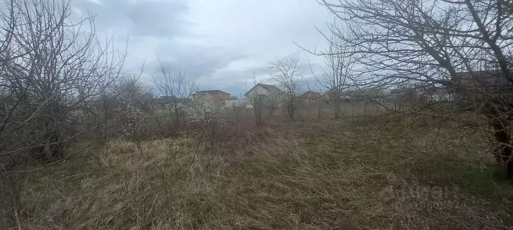 Участок в Краснодарский край, Северский район, Афипское городское ... - Фото 2