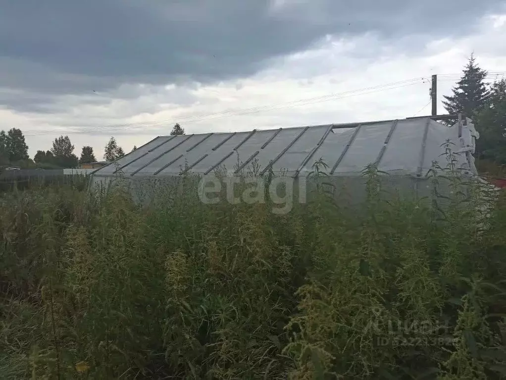 Участок в Тюменская область, Ялуторовский муниципальный округ, ... - Фото 2