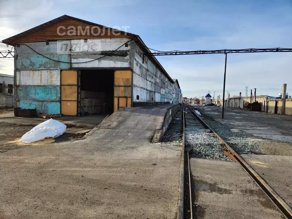 Склад в Алтайский край, Барнаул ул. Малахова, 1Ж (6500 м) - Фото 2