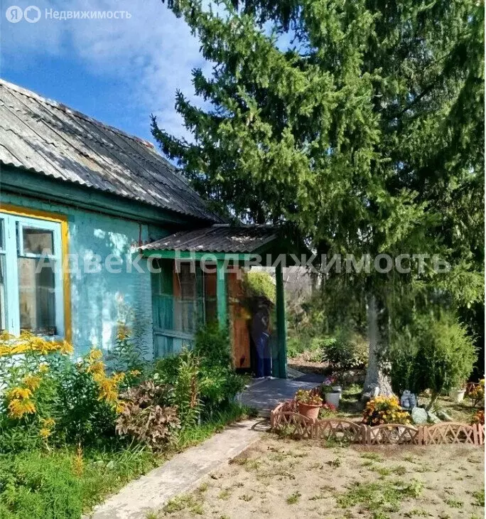 дом в тюмень, снт автомобилист, малиновая улица, 804 (24 м) - Фото 0