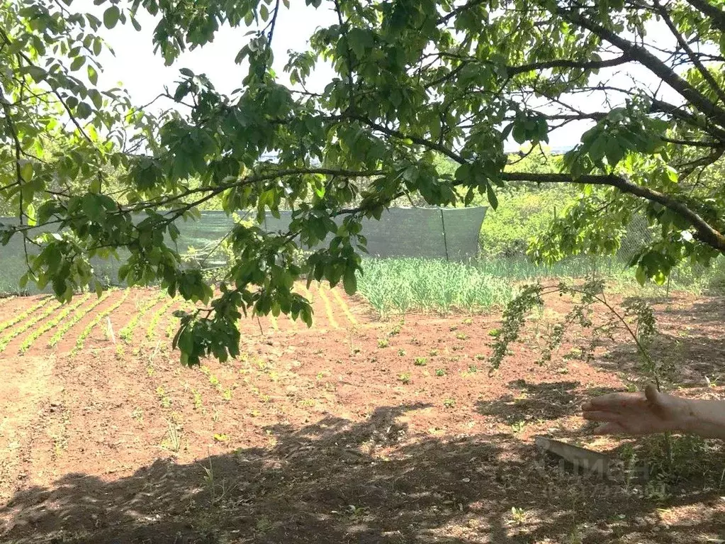 Участок в Белгородская область, Белгородский район, Беломестненское ... - Фото 0